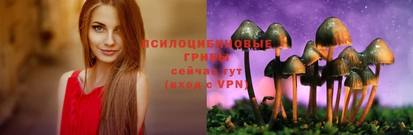 герыч Алексин