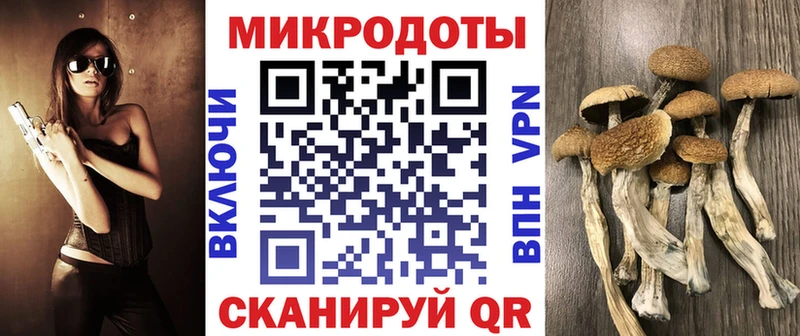 Галлюциногенные грибы мухоморы  Далматово 